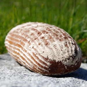 Brot liegt auf einem Stein auf einer Wiese